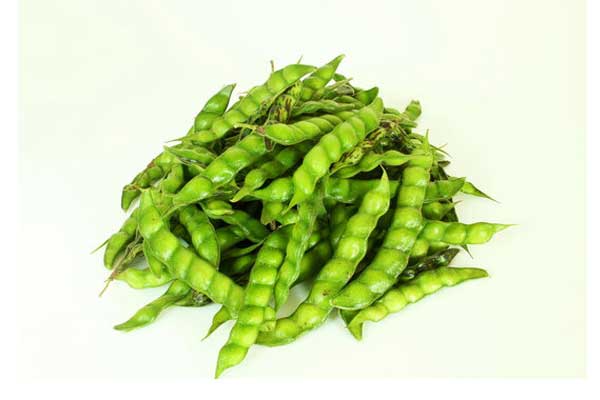 pigeon pea