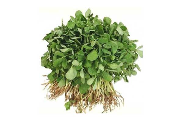 fenugreek leaves