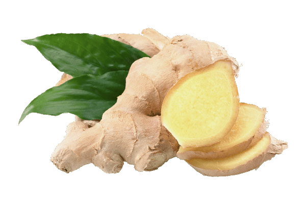 Ginger
