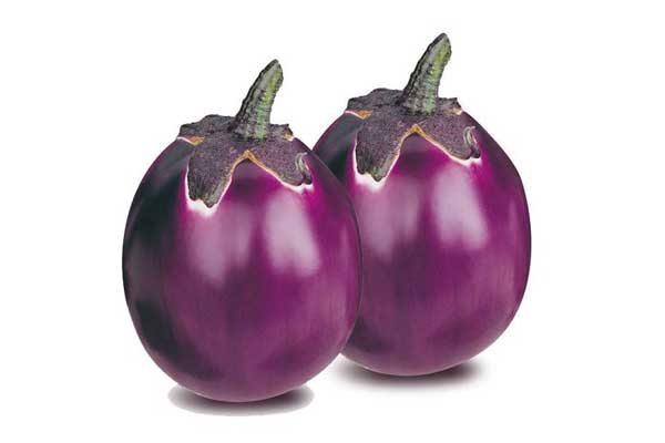 eggplant (brinjal)