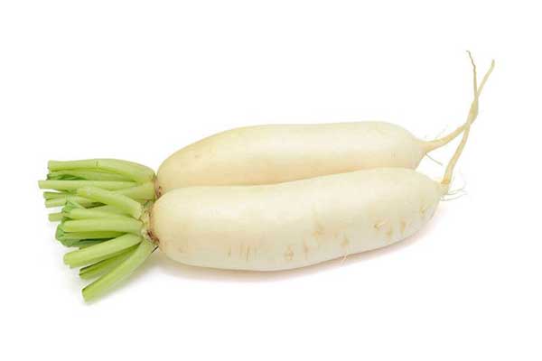 radish- white