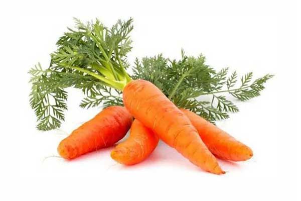 Carrot