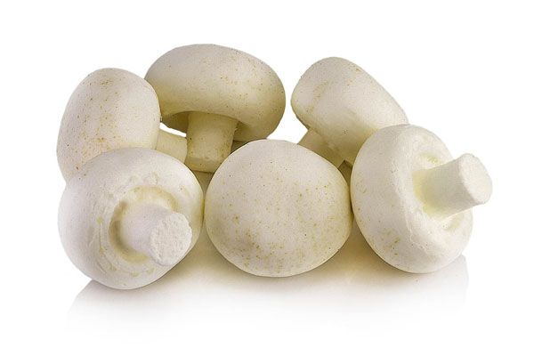 button mushroom