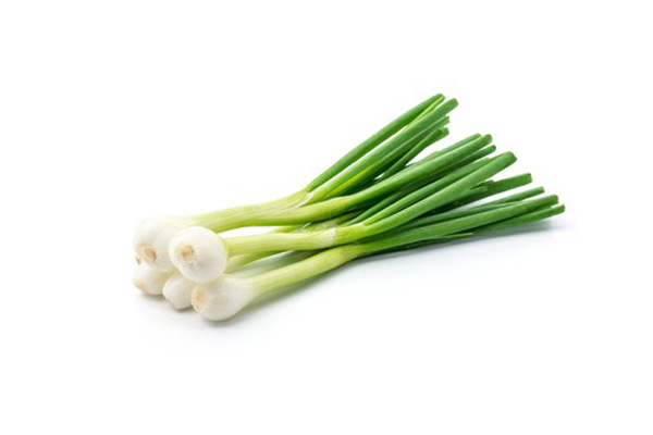 spring onion
