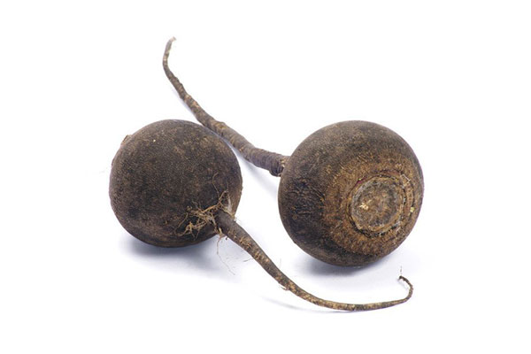 Beet Root