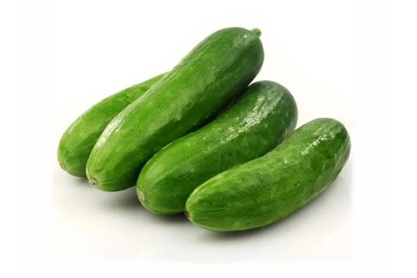 Cucumber
