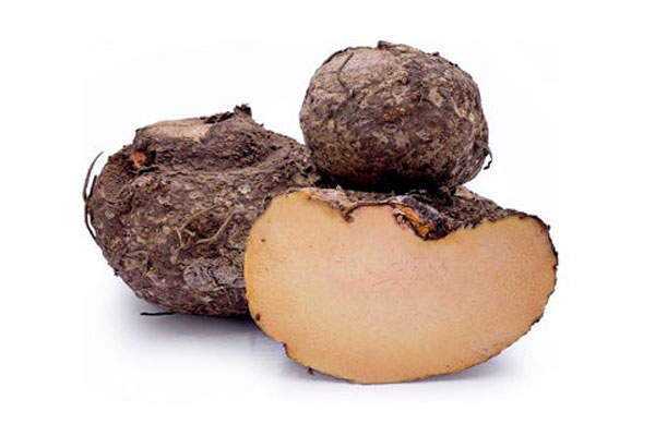 yam