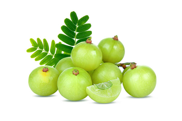 gooseberry