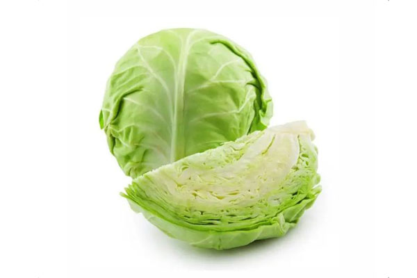 Cabbage