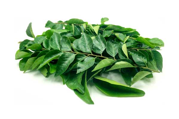 curry leaves