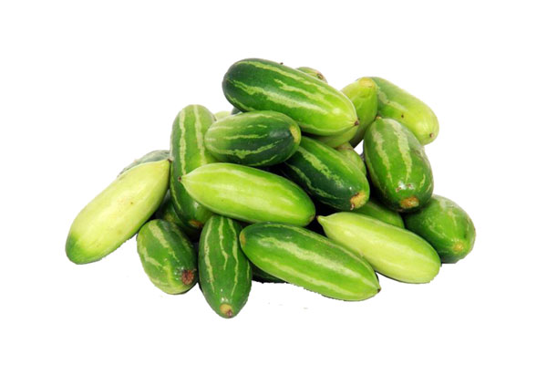 ivy gourd