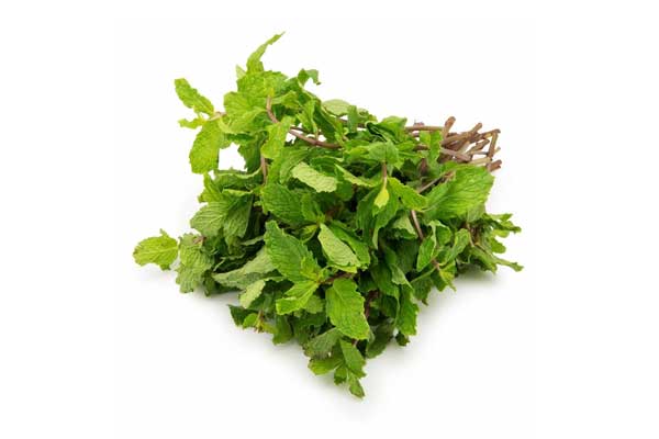 mint leaves